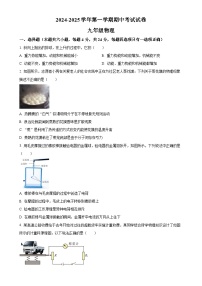 甘肃省金昌市永昌县九年级上学期11月期中考试物理试题（原卷版）-A4