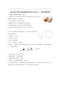 2025-2026学年河北省邯郸市武安市九年级上学期期中考试物理试卷（有解析）