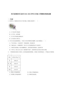 2024-2025学年四川省绵阳市江油市九年级上学期期末考试物理试卷（有答案）