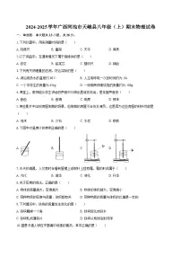 2024-2025学年广西河池市天峨县八年级（上）期末物理试卷-自定义类型