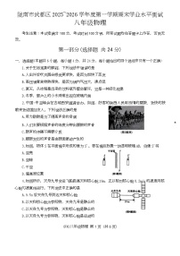 甘肃省陇南市武都区2025-2026学年八年级上学期1月期末物理试题