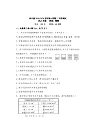 2025-2026学年新疆伊犁哈萨克自治州伊宁县九年级上学期12月月考物理试卷