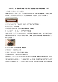 2025年广东省深圳市初中学业水平模拟训练物理试题（一）-自定义类型