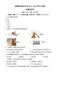 精品解析：吉林省长春市绿园区新解放学校初中部2024-2025学年八年级下学期期中物理试题+答案