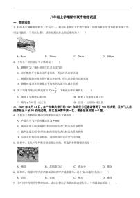广东省深圳市2025年八年级上学期期中物理试题八套及答案