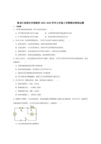 2024-2025学年黑龙江省绥化市绥棱县（五四学制）九年级上学期1月期末考试物理试卷（有答案）