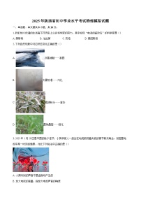 2025年陕西省初中学业水平考试物理模拟试题-自定义类型