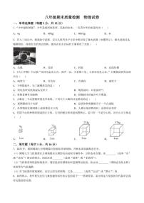 2025—2026学年吉林省吉林市八年级上学期期末质量检测物理试题（有答案）