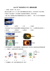 2025年广东省东莞市中考三模物理试题-自定义类型