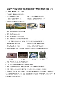 2025年广东省深圳市实验学校初中部中考物理模拟测试题（六）-自定义类型