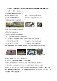 2025年广东省深圳市实验学校初中部中考物理模拟测试题（六）-自定义类型