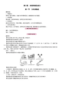 初中物理力及其描述教案