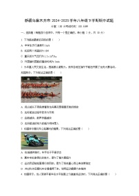 新疆乌鲁木齐市2024-2025学年八年级下学期期中物理试卷（学生版）