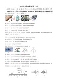 2025中考物理模拟卷（三）