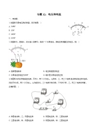 2025年中考物理第一轮复习专题复习专题12：电压和电阻练习  （含答案+解析）