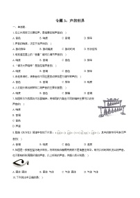2025年上海中考物理第一轮专题复习专题3：声的世界  练习 （含答案+解析）