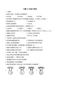 2025年中考物理第一轮复习--专题13：内能与热机  练习 （含答案+解析）