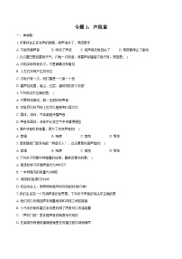 2025年上海中考物理二轮复习专题1：声现象  练习  （含答案+解析）