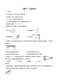 2025年上海中考物理二轮复习专题14：压强和浮力 练习 （含答案+解析）