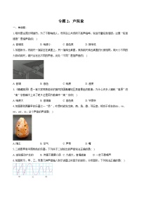 2025年中考物理一轮复习专题2：声现象   练习  （含答案+解析）