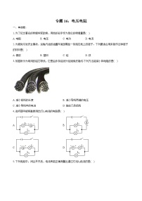 2025年中考物理一轮复习专题16：电压 电阻   练习  （含答案+解析）