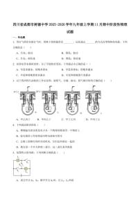 四川省成都市树德中学2026届九年级上学期11月期中考试物理试卷（含答案）