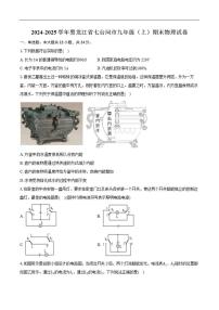 2024-2025学年黑龙江省七台河市九年级上学期期末物理试卷（有解析）