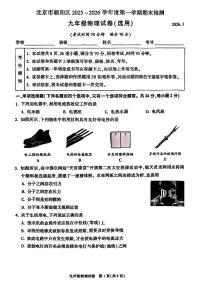 北京市朝阳区2025-2026学年第一学期九年级期末检测 物理试题+答案