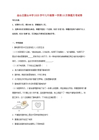上海市金山区蒙山中学2025—2026学年九年级上册10月月考物理试题【附答案】