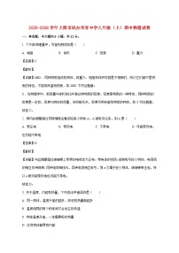 上海市民办华育中学2025—2026学年九年级上册期中物理试题【附答案】