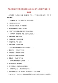 天津外国语大学附属外国语学校2025—2026学年上册九年级期中物理试题【附答案】