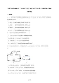 山东省烟台市莱州市（五四制）2025届九年级上册期末考试物理试卷（含答案）