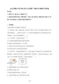 上海市金山区蒙山中学2025~2026学年九年级上册10月月考物理试卷（含答案）