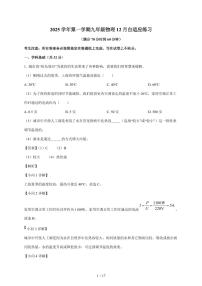 上海市进才中学2025~2026学年九年级上册12月月考物理试卷（含答案）