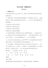 上海市上海科技大学附属学校2025~2026学年八年级上册期中考试物理试卷（含解析）