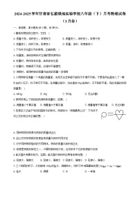 甘肃省弘毅绿地实验学校2024-2025学年八年级下学期月考物理试卷（3月份） -A4