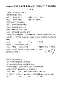 甘肃省弘毅绿地实验学校2024-2025学年八年级下学期月考物理试卷（3月份） -A4