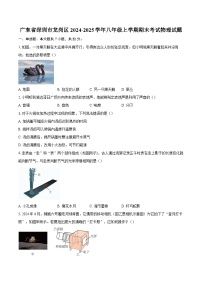 广东省深圳市龙岗区2024-2025学年八年级上学期期末考试物理试题-自定义类型