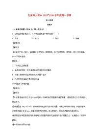 北京市北京师范大学附中2025-2026学年九年级上学期（11月）月考物理试题（附解析）