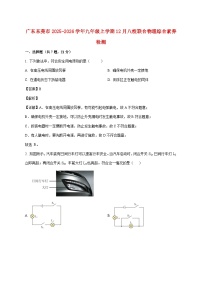 广东东莞市2025-2026学年九年级上学期12月八校联合物理综合素养检测（附解析）