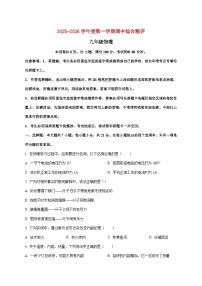 广东省河源市紫金县2025-2026学年九年级上学期期中物理试题（附答案）