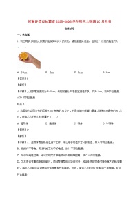 河南省许昌市长葛市2025-2026学年九年级上学期10月月考物理试题（附解析）