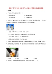 湖北省天门市2025届九年级上学期期末考试物理试题（附答案）