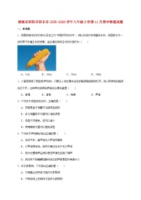 湖南省邵阳市邵东市2025-2026学年八年级上学期11月期中考试物理试题（附答案）