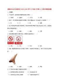 湖南省长沙市浏阳市2025-2026学年八年级上学期11月期中考试物理试题（附答案）
