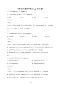 北京市三帆中学2025—2026学年九年级上册11月月考物理试卷（含答案）