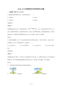 广东省江门市培英初级中学2025~2026学年九年级上册11月期中物理试卷（含答案）