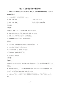 河北省石家庄市第三十八中学2025~2026学年九年级上册期中物理试卷（含答案）