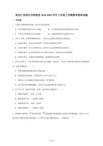 黑龙江省绥化市绥棱县（五四学制）2025届九年级上册1月期末考试物理试卷（含答案）