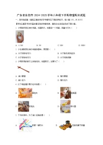 2024-2025学年广东省东莞市八年级下学期物理期末物理试卷（学生版）